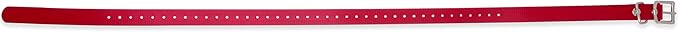 Educator Biothane Dog Collar, Waterproof, Odorproof, Metal Buckle and D Ring, Adjustable for Custom Fit, Cool and Comfortable, for Small, Medium, or Large Dogs, 3/4-Inch, Red