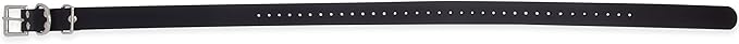 Educator Biothane Dog Collar, Waterproof, Odorproof, Metal Buckle and D Ring, Adjustable for Custom Fit, Cool and Comfortable, for Small, Medium, or Large Dogs, 1-Inch, Black