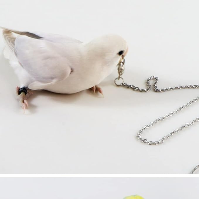 Bird Foot Chain Flying Stainless Steel Training Rope Outdoor Parrot Ankle Foot Ring Accessories Bird Harness Leash Prevent Escaping (8#)