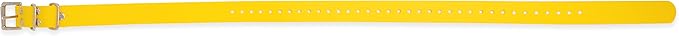 Educator Biothane Dog Collar, Waterproof, Odorproof, Metal Buckle and D Ring, Adjustable for Custom Fit, Cool and Comfortable, for Small, Medium, or Large Dogs, 1-Inch, Yellow