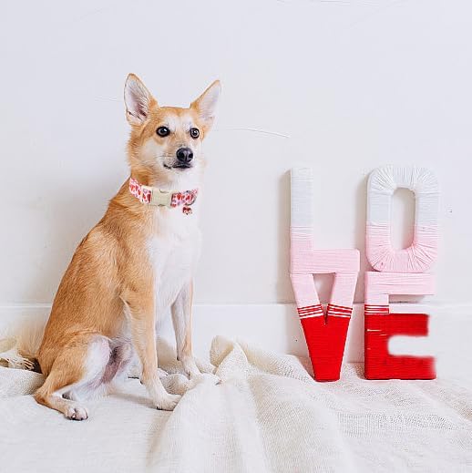 Lionet Paws Valentine's Dog Collar- Cute Pink Wink Heart Dog Collars with Plastic Buckle, Light Adjustable Dog Collars for Medium Large Dogs