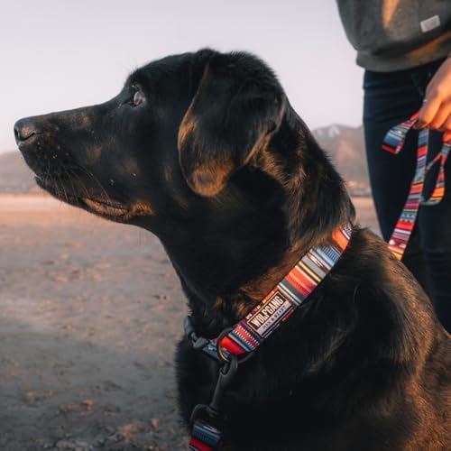 Wolfgang Heavy Duty, Adjustable Dog Collar with Quick Release Nylon Buckle for Walking & Training, Quetzal Print, Large
