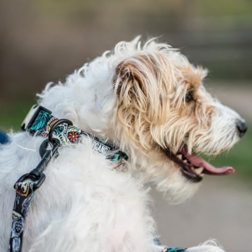 Wolfgang Heavy Duty Martingale Dog Collar with Quick Release Nylon Buckle for Walking & Training, LosMuertos Print, Large