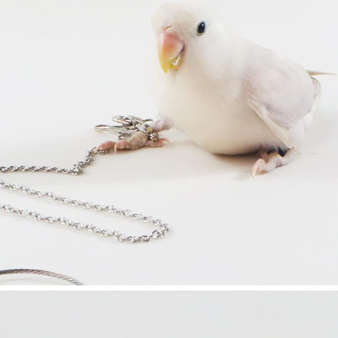 Bird Foot Chain Flying Stainless Steel Training Rope Outdoor Parrot Ankle Foot Ring Accessories Bird Harness Leash Prevent Escaping (8#)