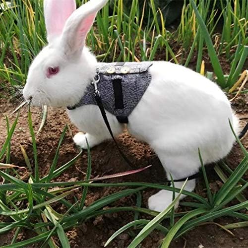 Hypeety Multipurpose Rabbit Vest Harness and Leash Set Small Animal Adjustable Soft Harness with Button Decor Formal Suit Style for Bunny Rabbit Kitten Small Animal Walking (L)