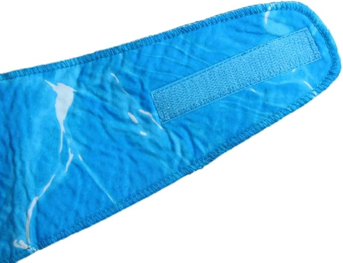 ALL FOR PAWS Chill Out Ice Bandana, Small