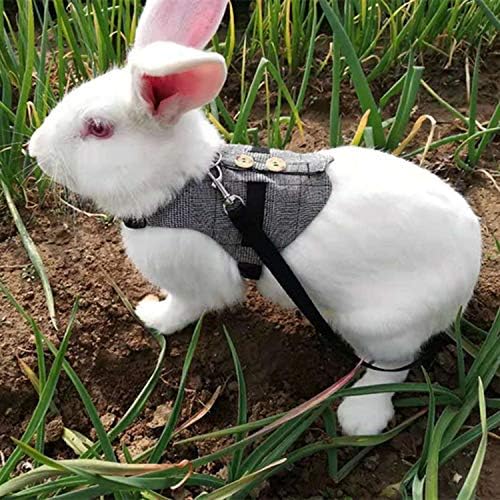 Multipurpose Rabbit Vest Harness and Leash Set Small Animal Adjustable Soft Harness with Button Decor Formal Suit Style for Bunny Rabbit Kitten Small Animal Walking (M)