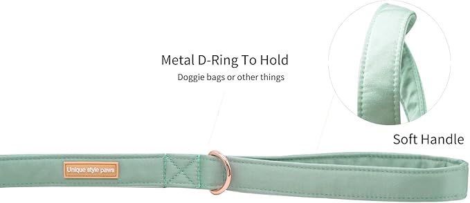 Unique style paws Silk Dog Leash Durable Dog Leashes with Welded D-Ring Comfortable Handle for Small Medium Large Dogs