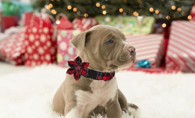 Lionet Paws Christmas Dog Collar with Flower, Dog Flower Collar with Metal Buckle for Dogs, Adjustable Comfortable Dog Collar Girl Gift, S, Neck 10-16 in
