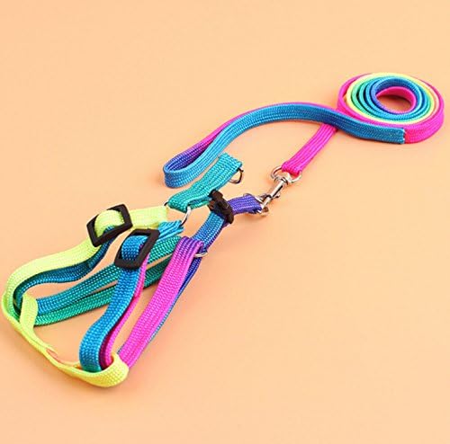 Hypeety Pet Bird Harness and Leash with Buckle Adorable Rainbow Design Safe Parrot Leash Pet Harness Outdoor Adjustable Anti Bite Training Rope for Macaw Large Size Bird (1.5cm × 47.24in)