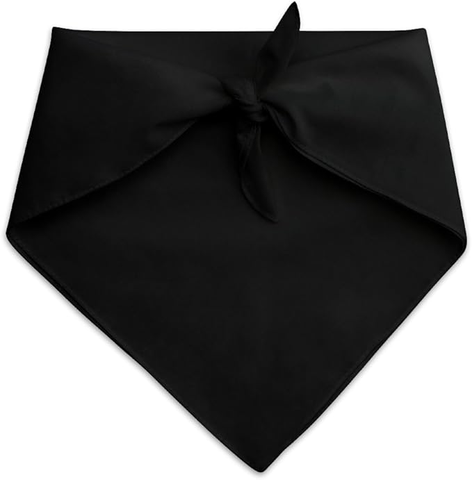 The Lord of The Rings The Journey Dog Pet Bandana