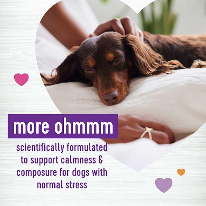 Wellness Tasty Cheese Flavored Soft Chews Calming Supplements for Dogs, 45 Count