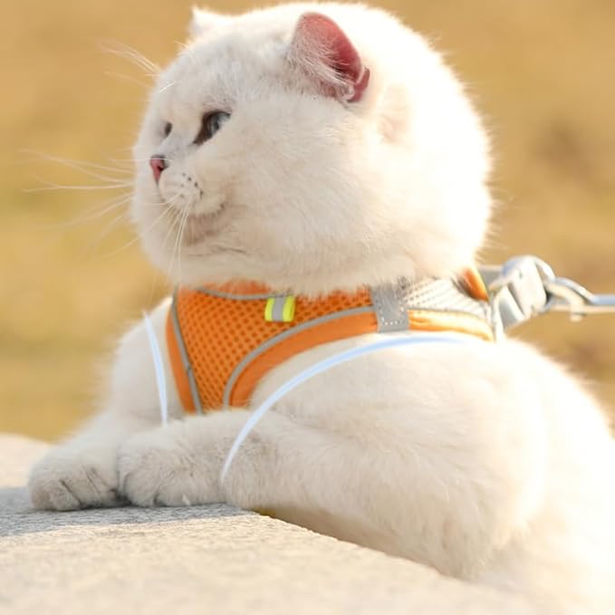 Cat Harness and Leash Set Soft Adjustable Escape Proof Cat Leash Breathable Comfortable Vest Easy to Wear Kitten/Small Dogs Harness for Outdoor Walking Orange XXS
