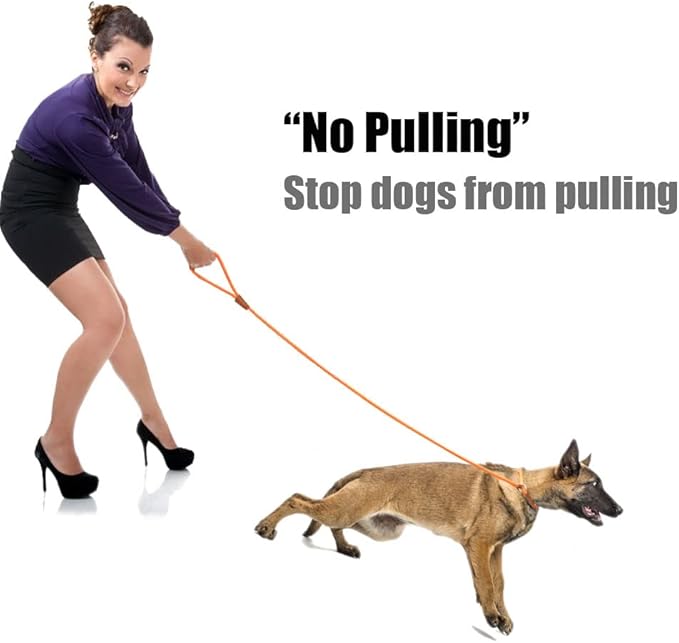 lynxking Dog Leash Slip Lead 5 6 8 FT Dog Training Leash Strong Heavy Duty Braided No Pull Training Lead Leashes for Small Medium Large Dogs