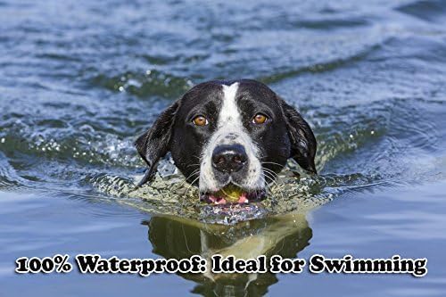 Dog Training Collar with Remote - 3960Ft, Hunting Standard, Removable Shock, LED Light, Vibrate, Anti Bark, Beep Mode, Rechargeable Waterproof E Collar for All Dogs Over 15lbs