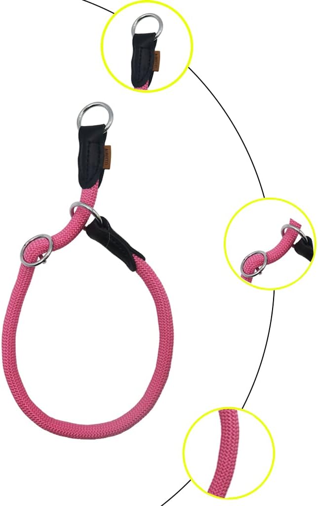 Braided Round Martingale Dog Collar, Training Collar with Slidable Stop Ring - Ideal for Small Dogs (S(1/3") - 16" Long, Pink)