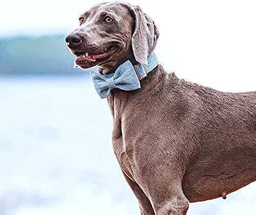 DOGWONG Hemp Cotton Dog Collar with Bow, Blue Pet Collar Durable Adjustable Puppy Collar for Small Dogs