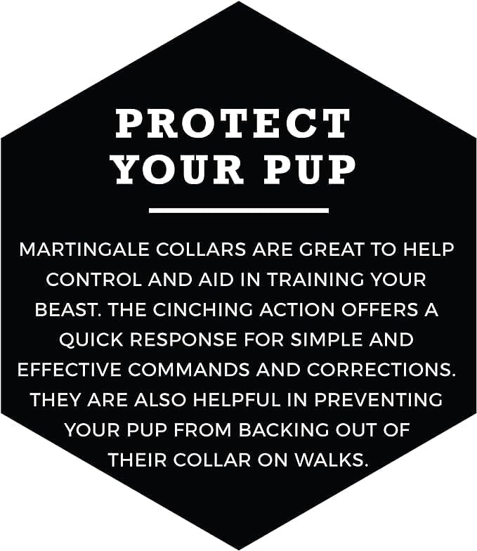 Wolfgang Heavy Duty Martingale Dog Collar with Quick Release Nylon Buckle for Walking & Training, DarkFloral Print, Large