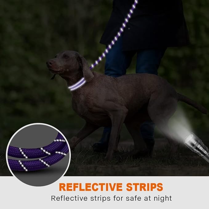 Taglory Rope Dog Leash 4 FT with Comfortable Padded Handle, Highly Reflective Threads Leash for Medium Large Dogs, 1/2 inch, Purple