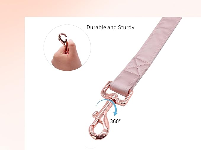 Unique style paws Silk Dog Leash Durable Dog Leashes with Welded D-Ring Comfortable Handle for Small Medium Large Dogs Z-Princess