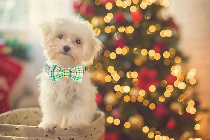 ARING PET Bowtie Dog Collar, Adorable Green Grid Dog Collars with Detachable Bow, Adjustable Collar Gifts for Small Medium Large and Girl Boy Dogs