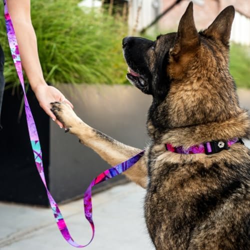Wolfgang Heavy Duty, Adjustable Dog Collar with Quick Release Nylon Buckle for Walking & Training, Daydream Print, Medium