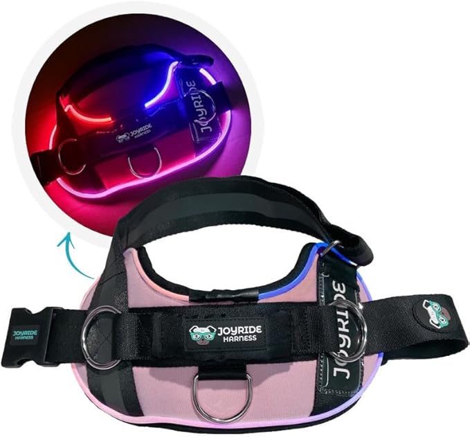 Joyride Harness LED Light Up Dog Harness 2.0 - Patent Pending Design, 3 LED Modes, Vibrant Rechargeable Lighting, Customizable Name Tag Area, and Convenient On/Off Button for Enhanced Pet Safety