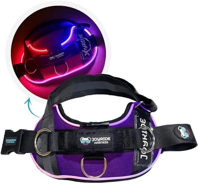 Joyride Harness LED Light Up Dog Harness 2.0 - Patent Pending Design, 3 LED Modes, Vibrant Rechargeable Lighting, Customizable Name Tag Area, and Convenient On/Off Button for Enhanced Pet Safety
