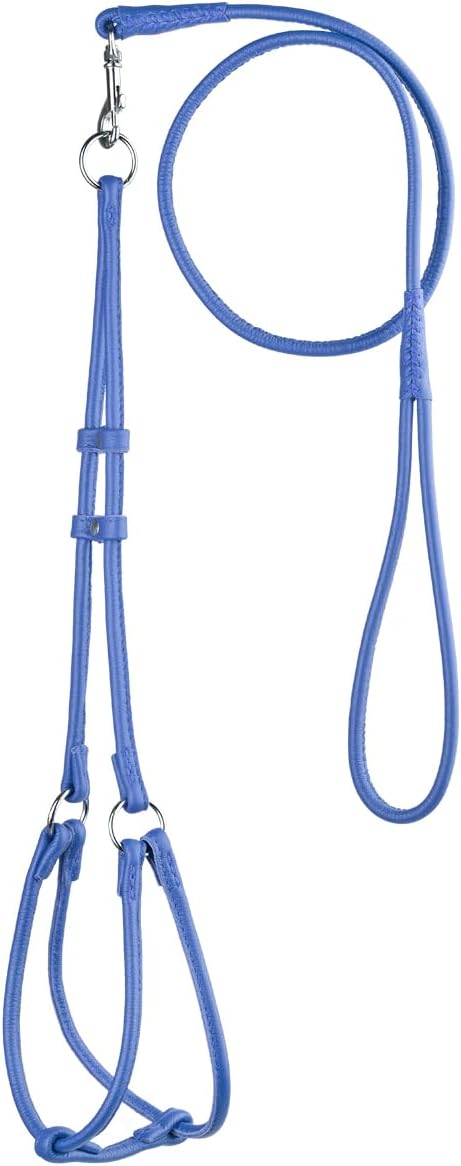 Dogline Soft and Padded Round Rolled Leather Step-in Harness with 11 to 15 Inches Chest and 3-Feet Leash, Royal Blue
