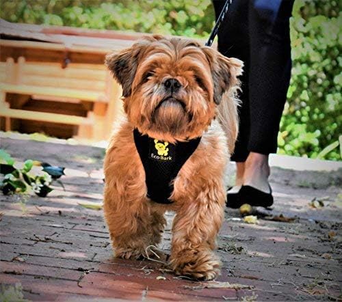 EcoBark Dog Leash - Soft & Reflective Comfort Training Leashes with Padded Handle - Strong Durable Heavy Duty - Training and Pulling for Small, Medium or Large Dogs (Black)