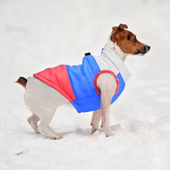 Idepet Pet Dog Cat Coat with Leash Anchor Color Patchwork Padded Puppy Vest Jacket Teddy Chihuahua Costumes Pug Cloth XS S M L (Medium, Red)