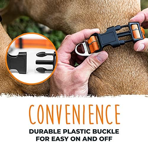 Mighty Paw Martingale Dog Collar 2.0 | Trainer Approved Limited Slip Collar with Stainless Steel Chain & Heavy Duty Buckle - Modified Cinch for Gentle & Effective Pet Training - S/M, Orange