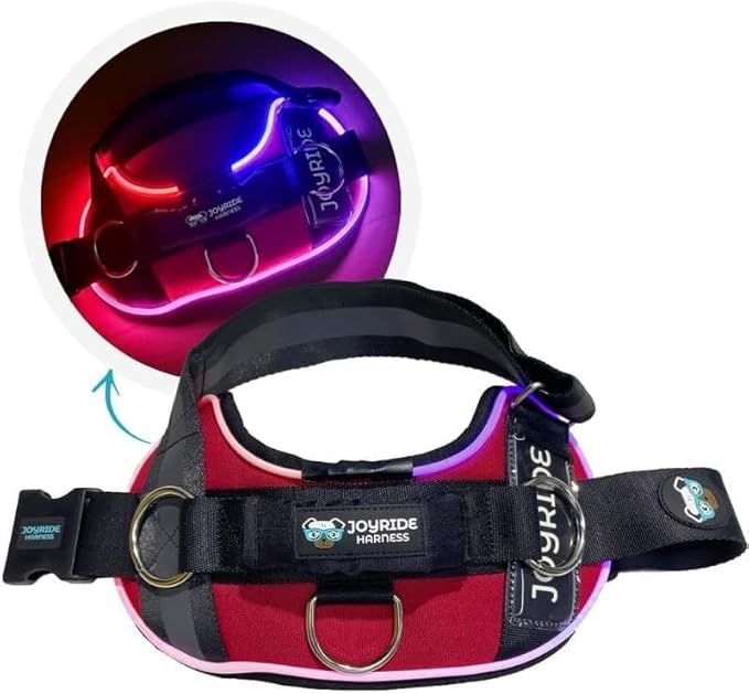 Joyride Harness LED Light Up Dog Harness 2.0 - Patent Pending Design, 3 LED Modes, Vibrant Rechargeable Lighting, Customizable Name Tag Area, and Convenient On/Off Button for Enhanced Pet Safety