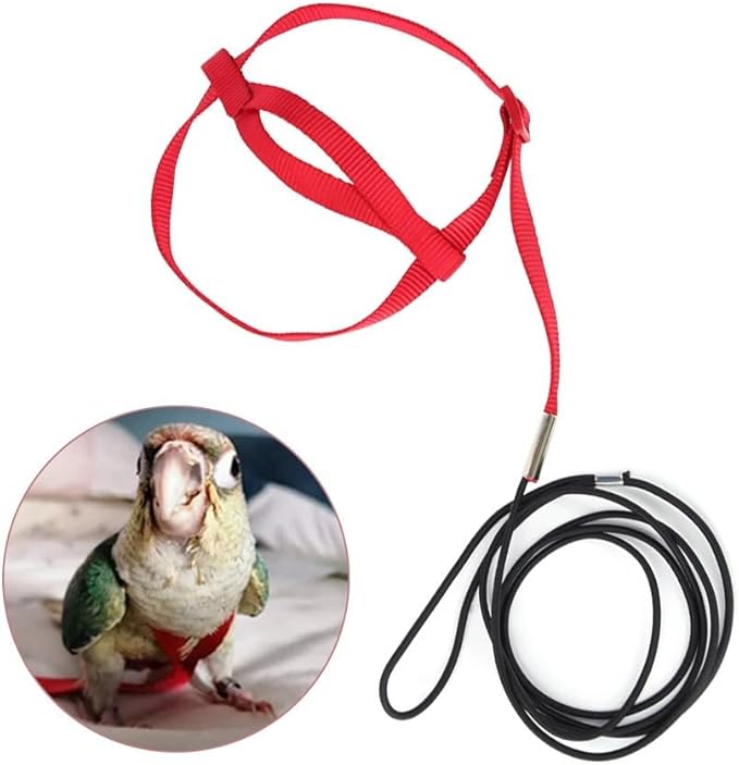 Parrot Harness Leash, Anti Bite Bird Training Leash Adjustable Parrot Flying Rope for Parrot Budgerigar Lovebird Cockatiel