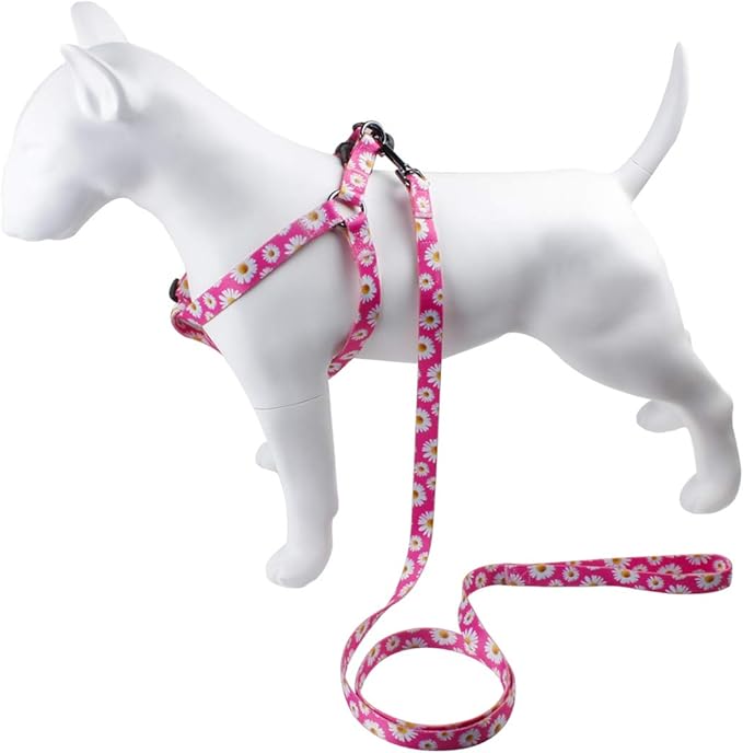 QQPETS Dog Harness Leash Set Adjustable Heavy Duty No Pull Halter Harnesses for Small Medium Large Breed Dogs Back Clip Anti-Twist Perfect for Walking (S(14"-20" Chest Girth), Daisy)
