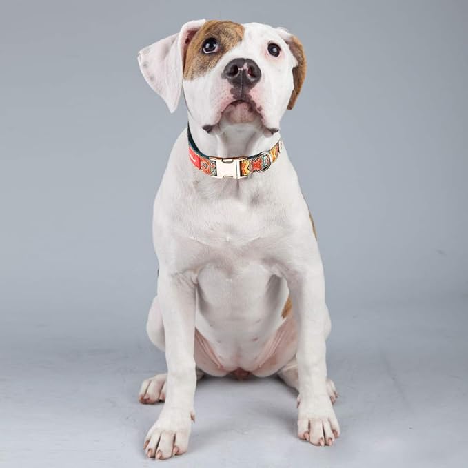 Timos Dog Collar, Adjustable Soft Dog Collar for Small Medium Large Dogs, Patterned Puppy Collars with Quick Release Buckle for Boy and Girl Female Dogs (Bohemia Yellow, Small)