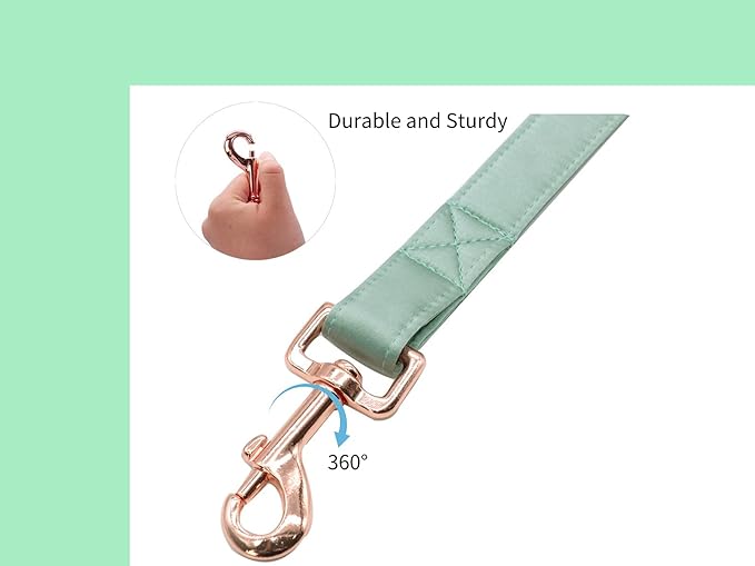 Unique style paws Silk Dog Leash Durable Dog Leashes with Welded D-Ring Comfortable Handle for Small Medium Large Dogs