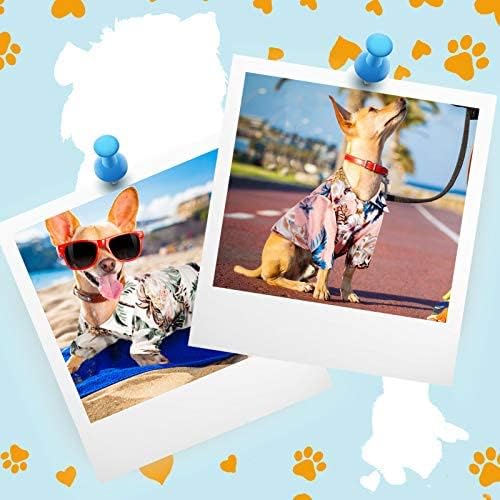 Weewooday 4 Pieces Pet Summer T-Shirts Hawaii Style Floral Pet Dog Shirt Breathable Cool Clothes Beach Seaside Puppy Sweatshirt for Small Puppy(Floral Style,X-Small)