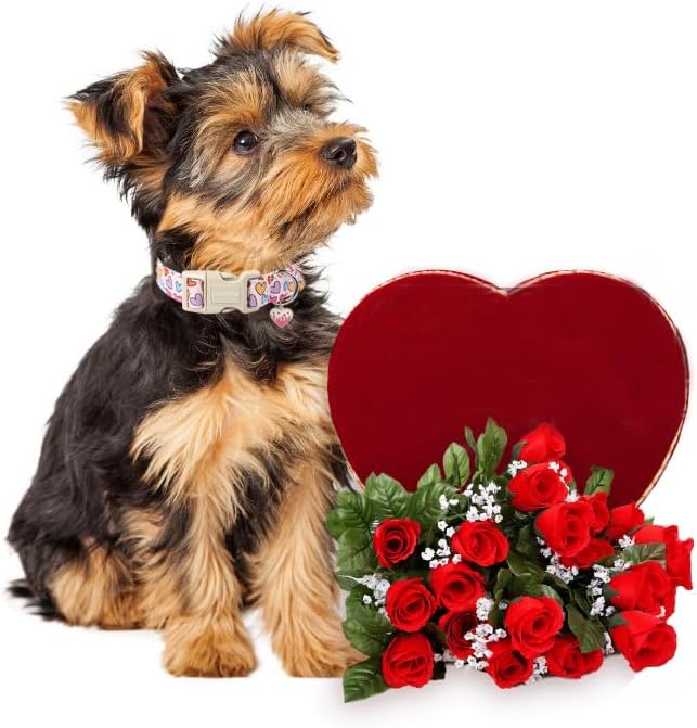 Lionet Paws Valentine's Dog Collar- Cute Spring Sweet Heart Dog Collars with Plastic Buckle, Light Adjustable Dog Collars for Small Medium Dogs