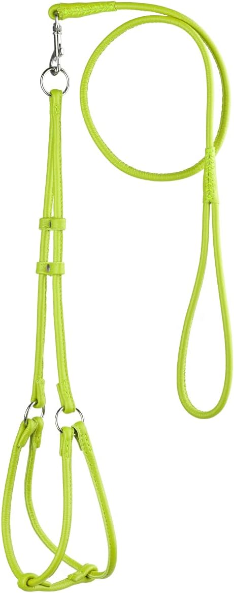 Dogline Soft and Padded Round Rolled Leather Step-in Harness with 11 to 15 Inches Chest and 3-Feet Leash, Green