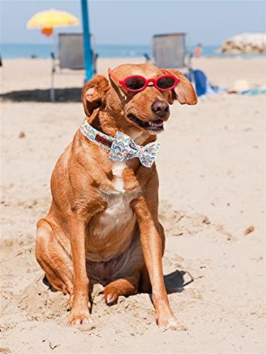 Unique style paws Rainbow Colorful Dog Collar with Bow Pet Gift Adjustable Soft and Comfy Bowtie Collars for Small Medium Large Dogs