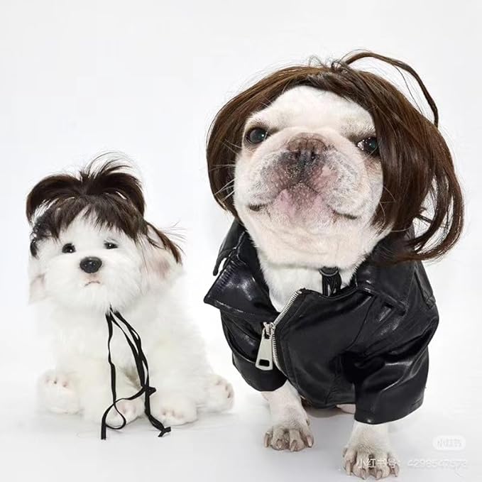 Spa Day Dog Costume Cosplay Wig, Curly Hair Pet Cat Wigs for Halloween Parties Dog Hats Wigs for Small Medium and Large Dogs Adjustable(Pet Head Circumference 6-27 inches)