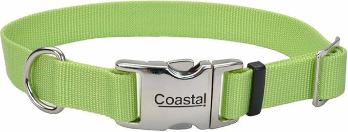Coastal Pet Adjustable Dog Collar with Metal Buckle - Comfortable Fade-Resistant Dog Collar with Snap Lock - Perfect for Walking & Tie Outs - Lime - 1" x 14"-20"