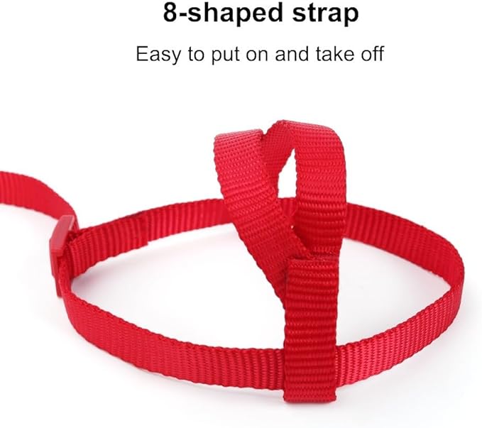 Parrot Harness Leash, Anti Bite Bird Training Leash Adjustable Parrot Flying Rope for Parrot Budgerigar Lovebird Cockatiel