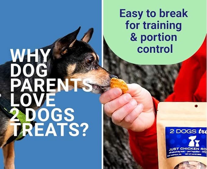 Just Beef Treats Dog Jerky | 100% USA-Sourced, Single-Ingredient, Great for Sensitive Stomachs, Human-Grade USDA Beef, Grain-Free, Allergy-Friendly, High Value for Training, Small Batch