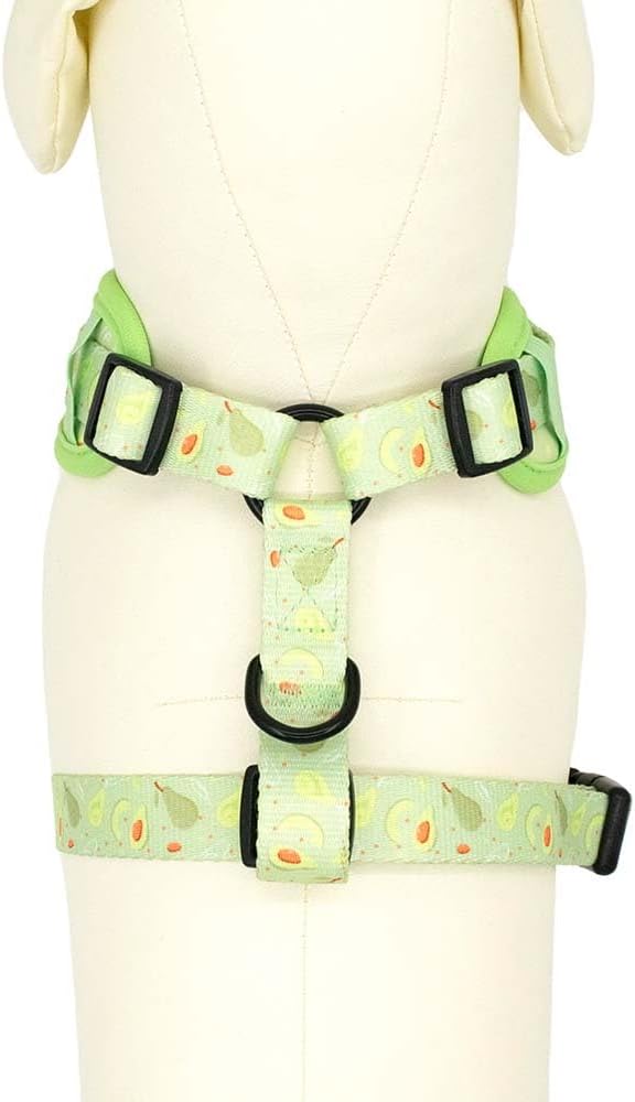 Dog Harness and Leash Set, Adjustable Dog Harness, Dog Leash, No Pull No Choke Puppy Harnesses for Walking Training for Small, Medium, Large Pet