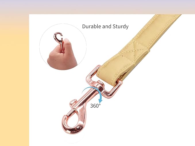 Unique style paws Silk Dog Leash Durable Dog Leashes with Welded D-Ring Comfortable Handle for Small Medium Large Dogs