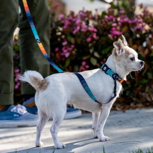 Wolfgang Heavy Duty, Adjustable Dog Collar with Quick Release Nylon Buckle for Walking & Training, ChevTech Print, Medium