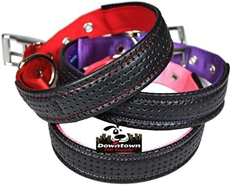 Downtown Pet Supply Deluxe Dog Collar - Padded Adjustable Dog Collar with Metal Buckle & D-Ring - Machine Washable & Water Resistant Thick Dog Collar - Black - L - Large Dog Collar
