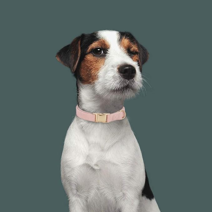 Soft Corduroy Dog Collar and Leash Set, Adjustable Cotton Dog Collars with Metal Buckle and Lead for Medium Dogs,Baby Pink